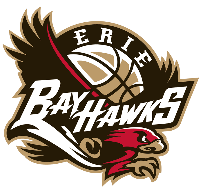 Erie BayHawks 2008-Pres Primary Logo iron on transfers for clothing